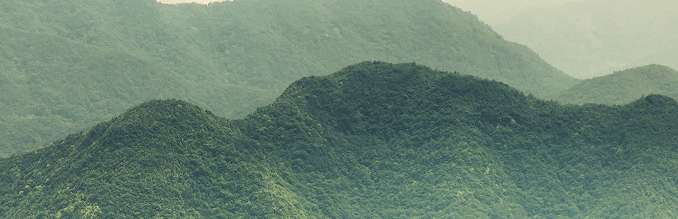 Misty Slopes