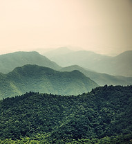 Misty Slopes