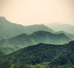 Misty Slope