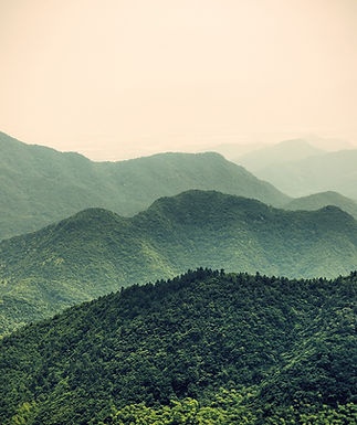 Misty Slope