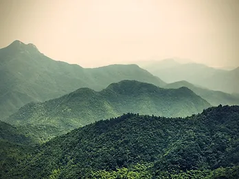Misty Slopes