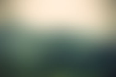 Ross Andrews Nature Poetry Contest