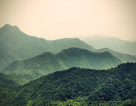 Misty Slope