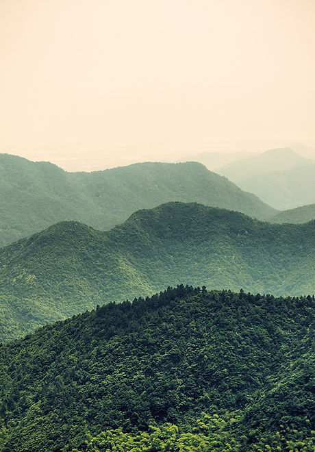 Misty Slope