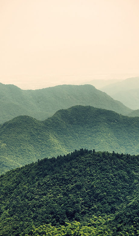 Misty Slope
