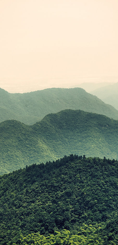 Misty Slope