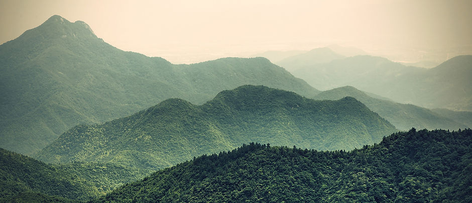 Misty Slopes