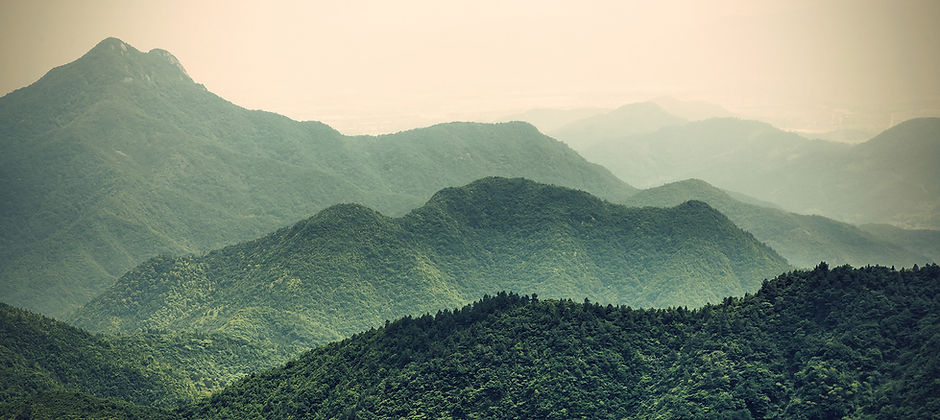 Misty Slope