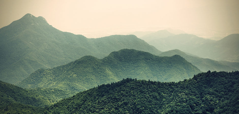 Misty Slopes