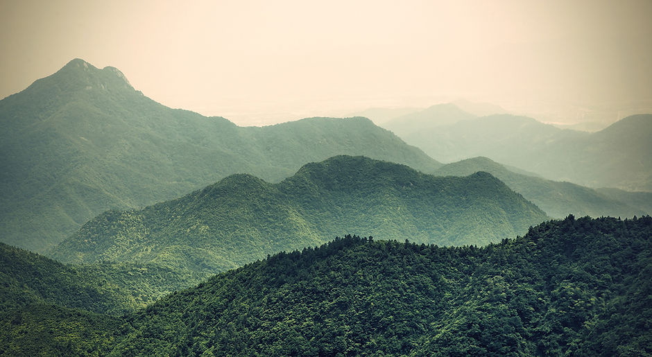 Misty Slopes