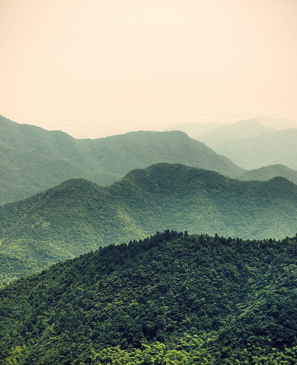 Misty Slopes