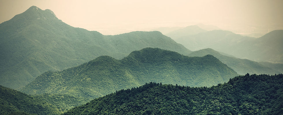 Green Rolling Hills