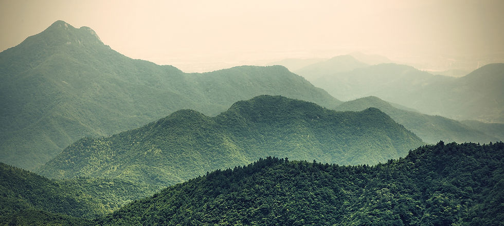 Misty Slopes