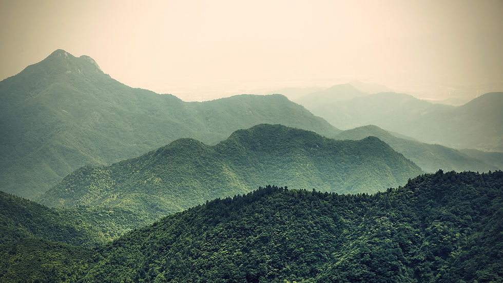 Misty Slopes