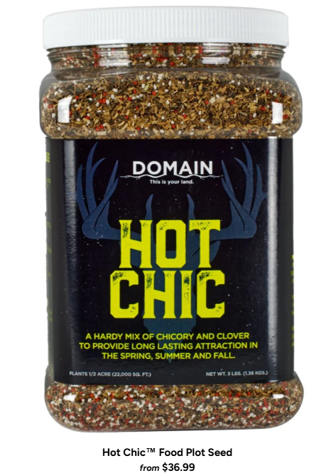 Domain Hot Chic