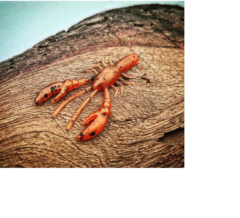 Thumbnail: Fish or Die Patriot