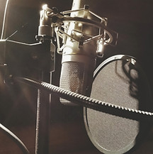noam zipory music for visions dialogue editing