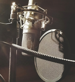 Studio Microphone Setup