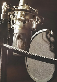 Studio Microphone Setup