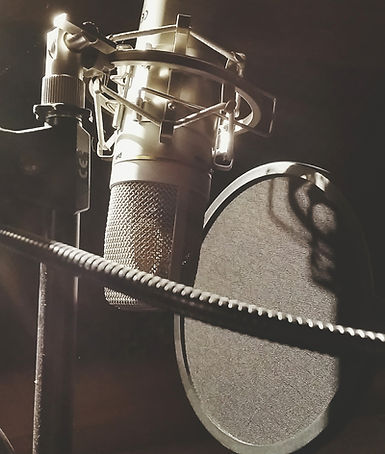 Studio Microphone Setup