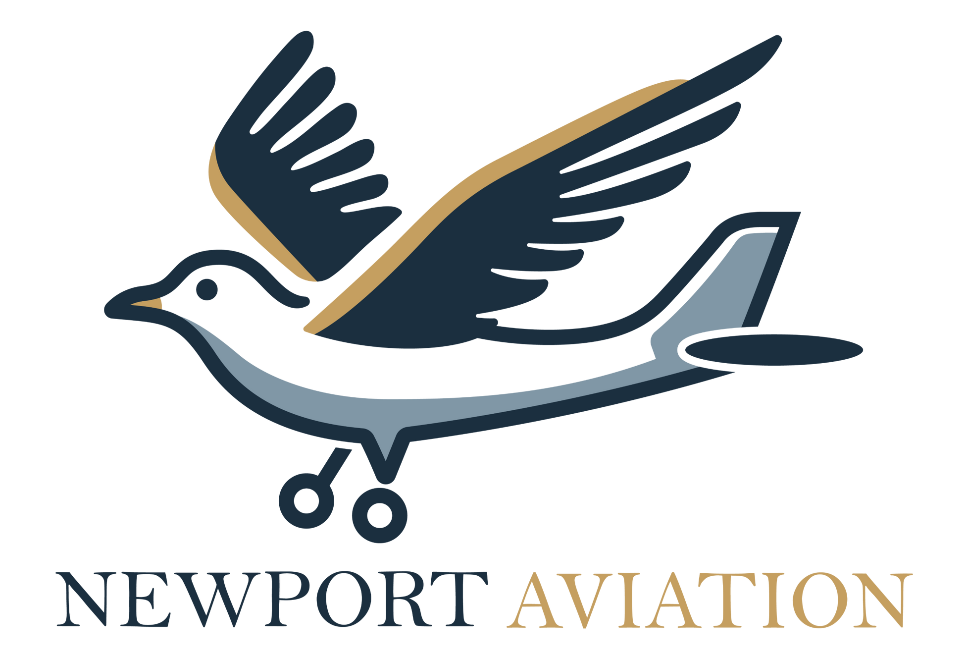 Aircraft | Newport Aviation