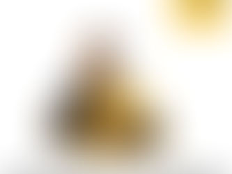 🐯 Pourquoi sauvegarder le cash ? 💰