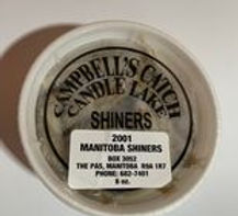 shiners.jpg