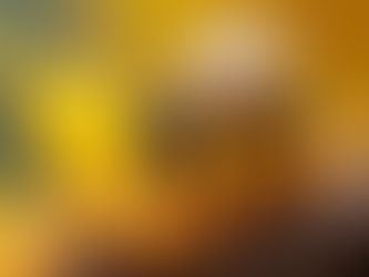 Unveiling Propolis and Royal Jelly: Exploring the Wonders of Lesser-Known Hive Products