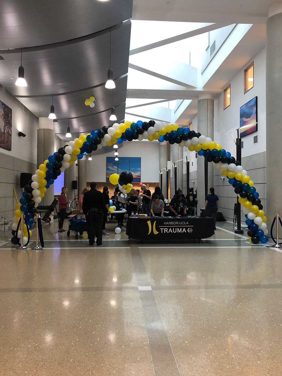 Swirl Celebration Arch