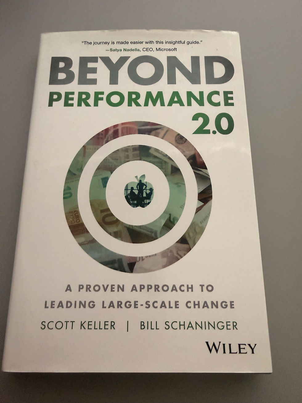 Beyond Performance 2.0: Proven Approach to Leading Large-Scale Change