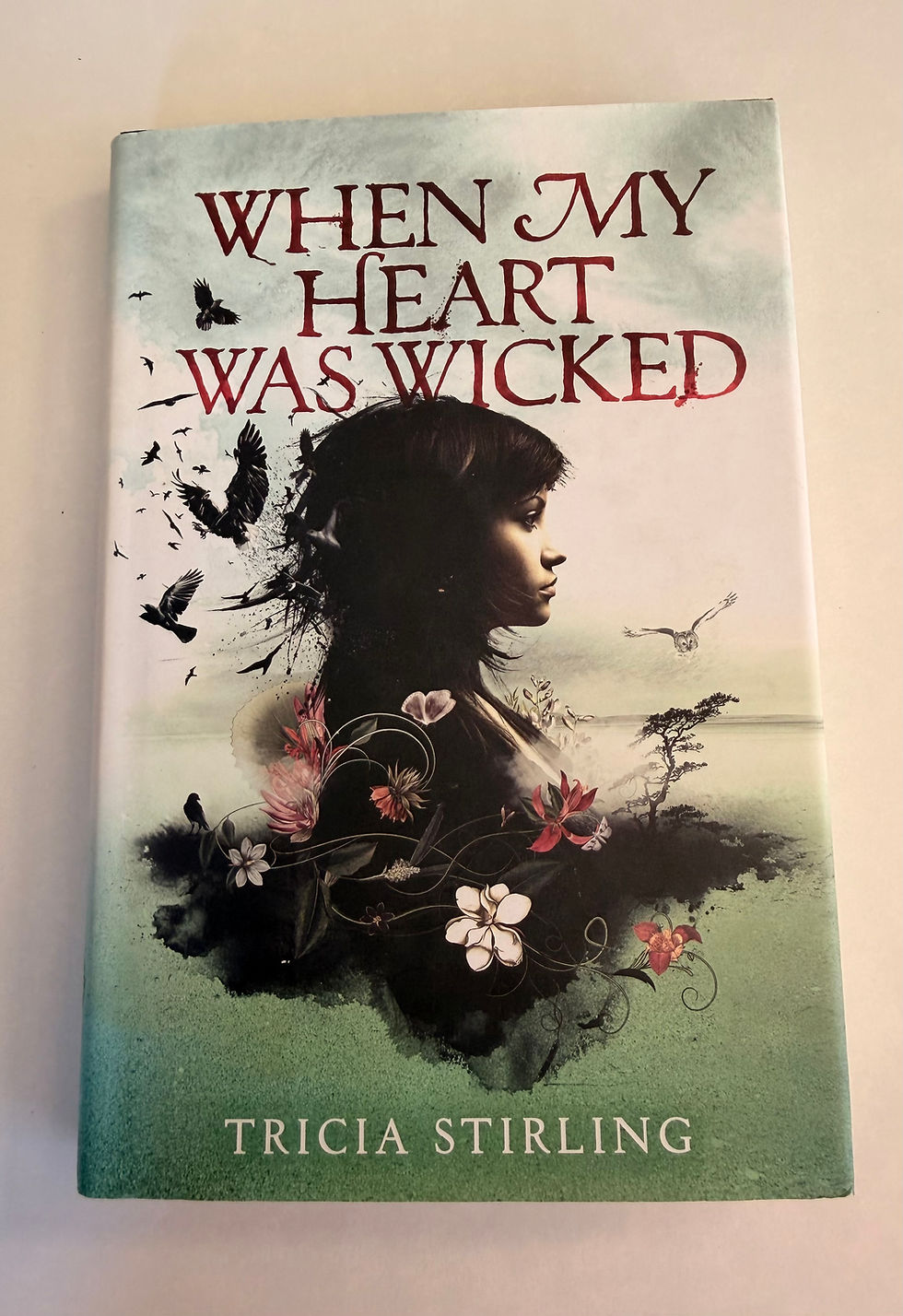 When My Heart Was Wicked by Tricia Stirling