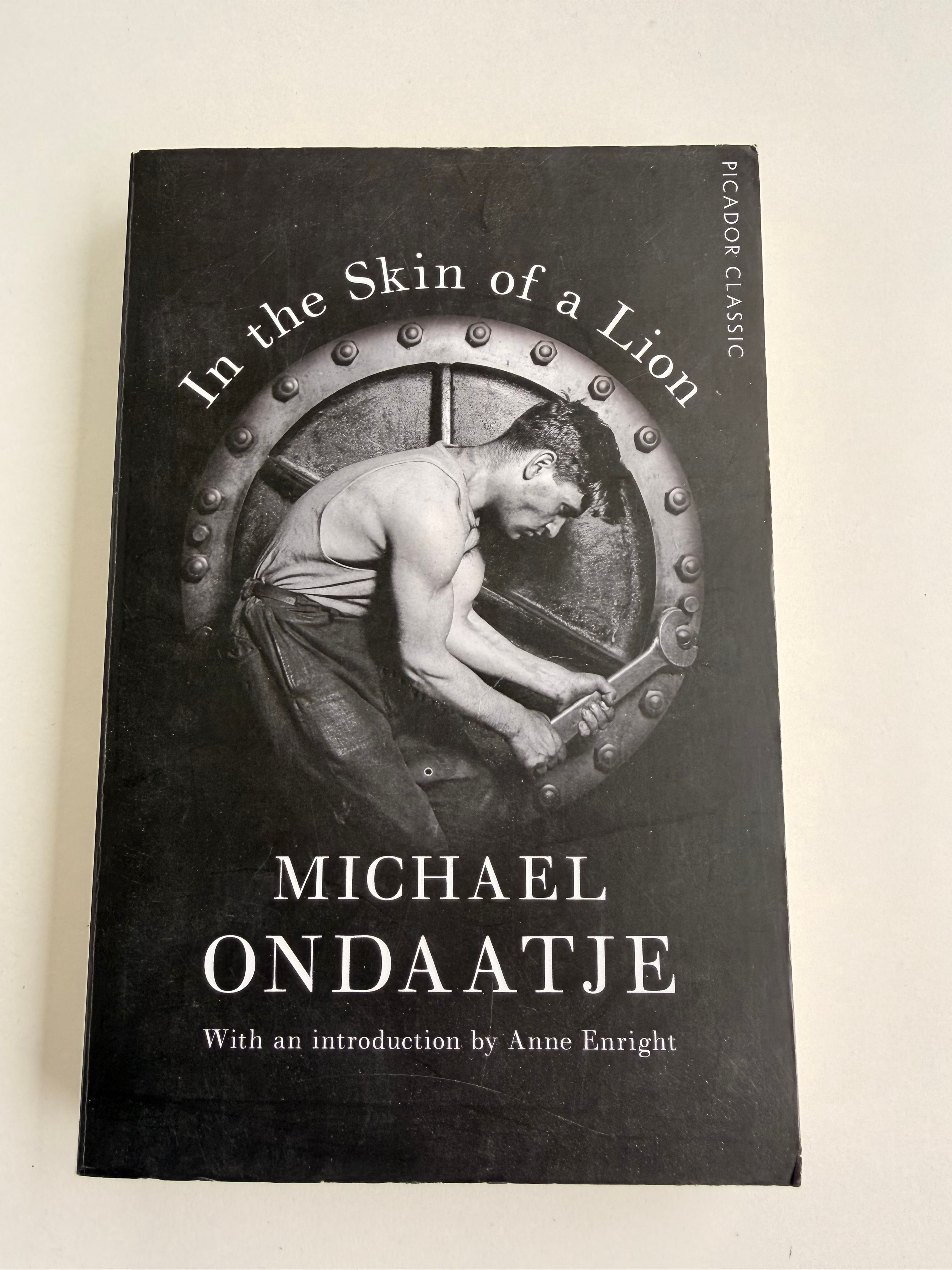 In The Skin of a Lion by Michael Ondaatje