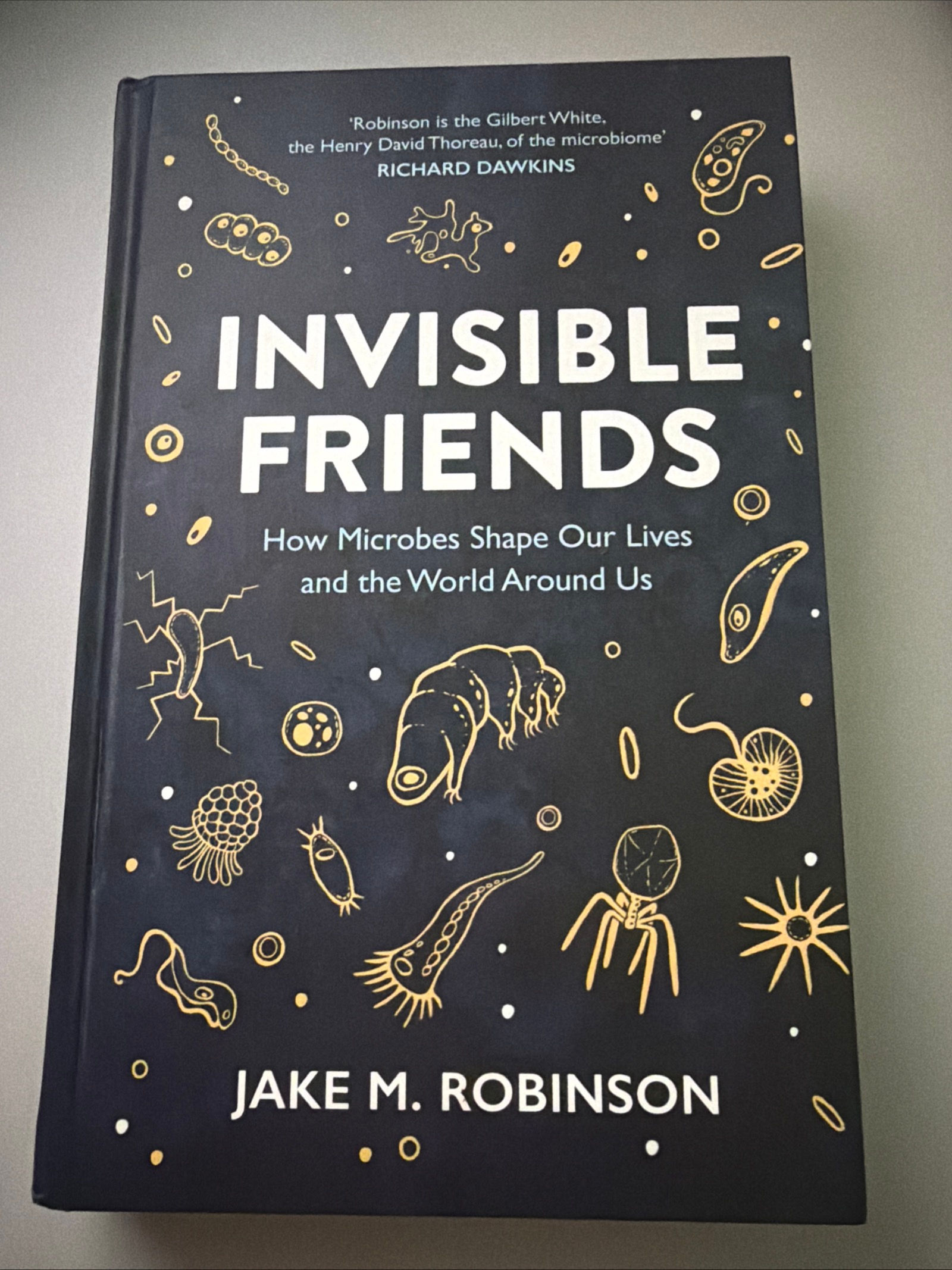 Invisible Friends by Jake M. Robinson