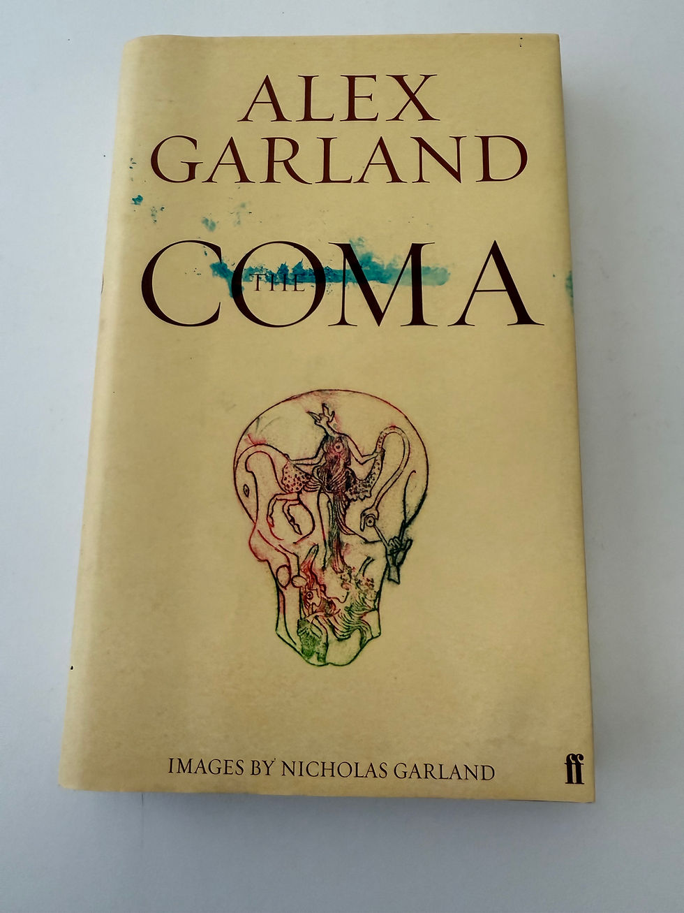 The Coma by Alex Garland