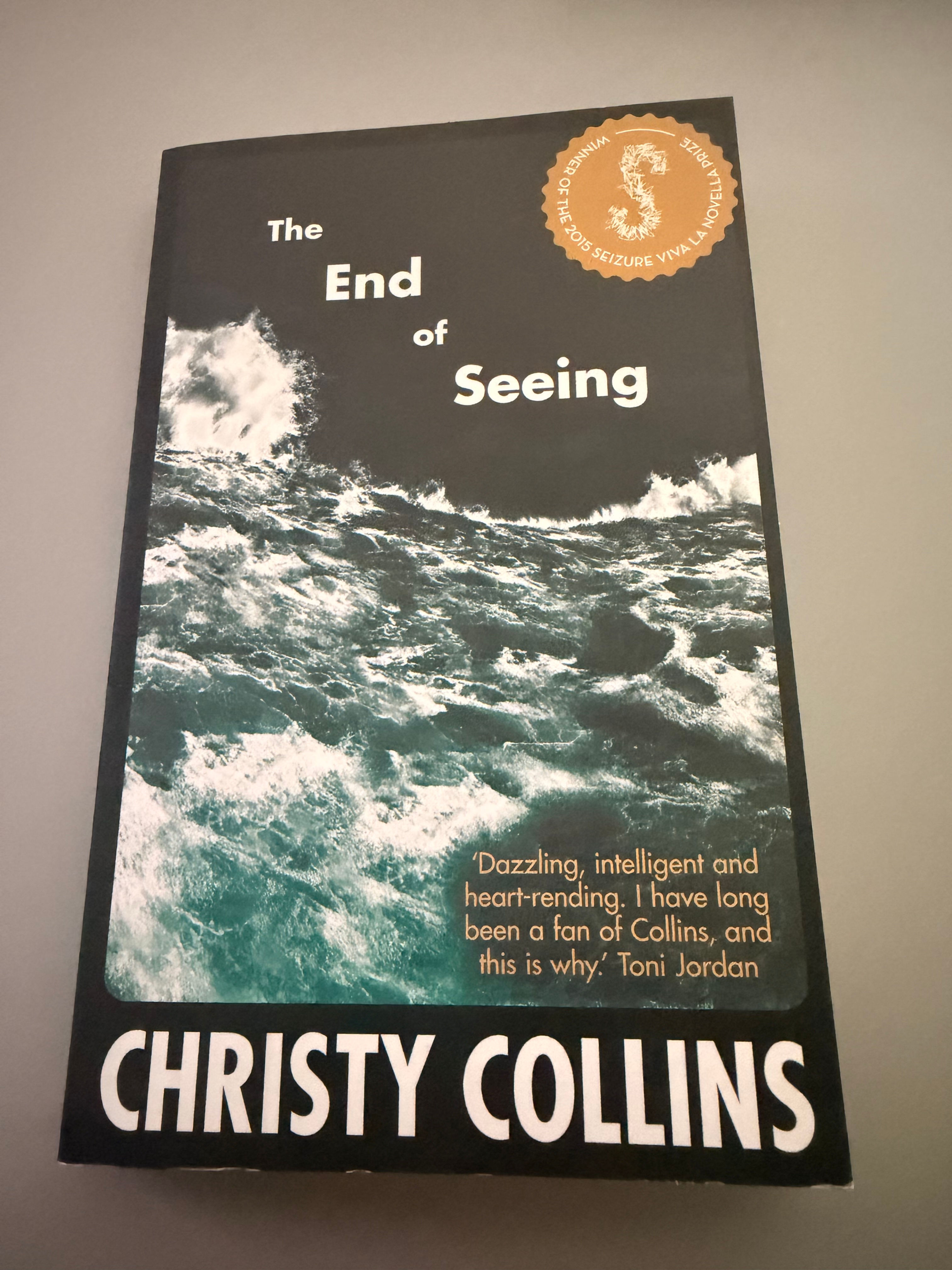 The End of Seeing by Christy Collins