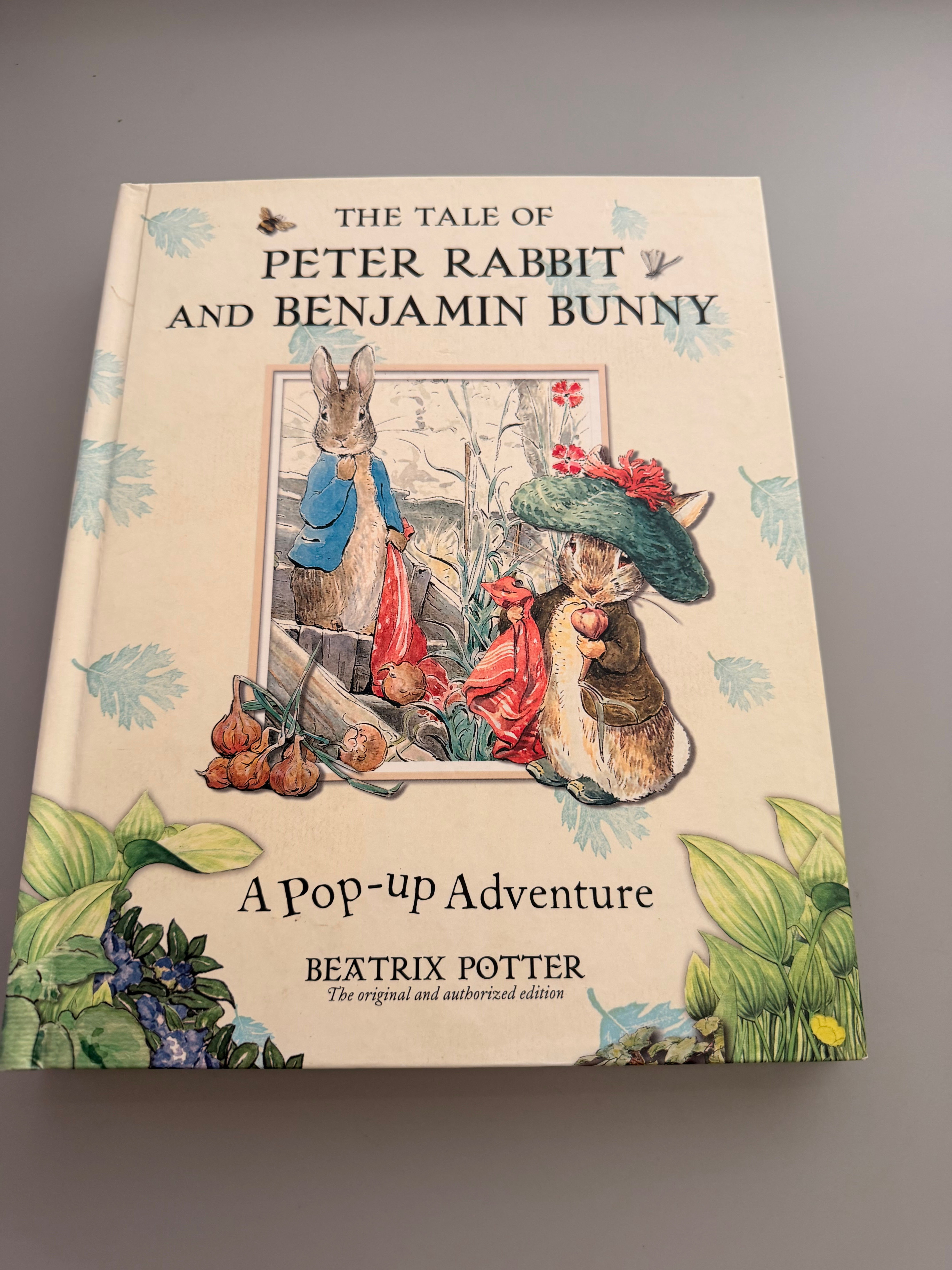 The Tale of Peter Rabbit & Benjamin Bunny - Pop Up Box by Beatrix Potter