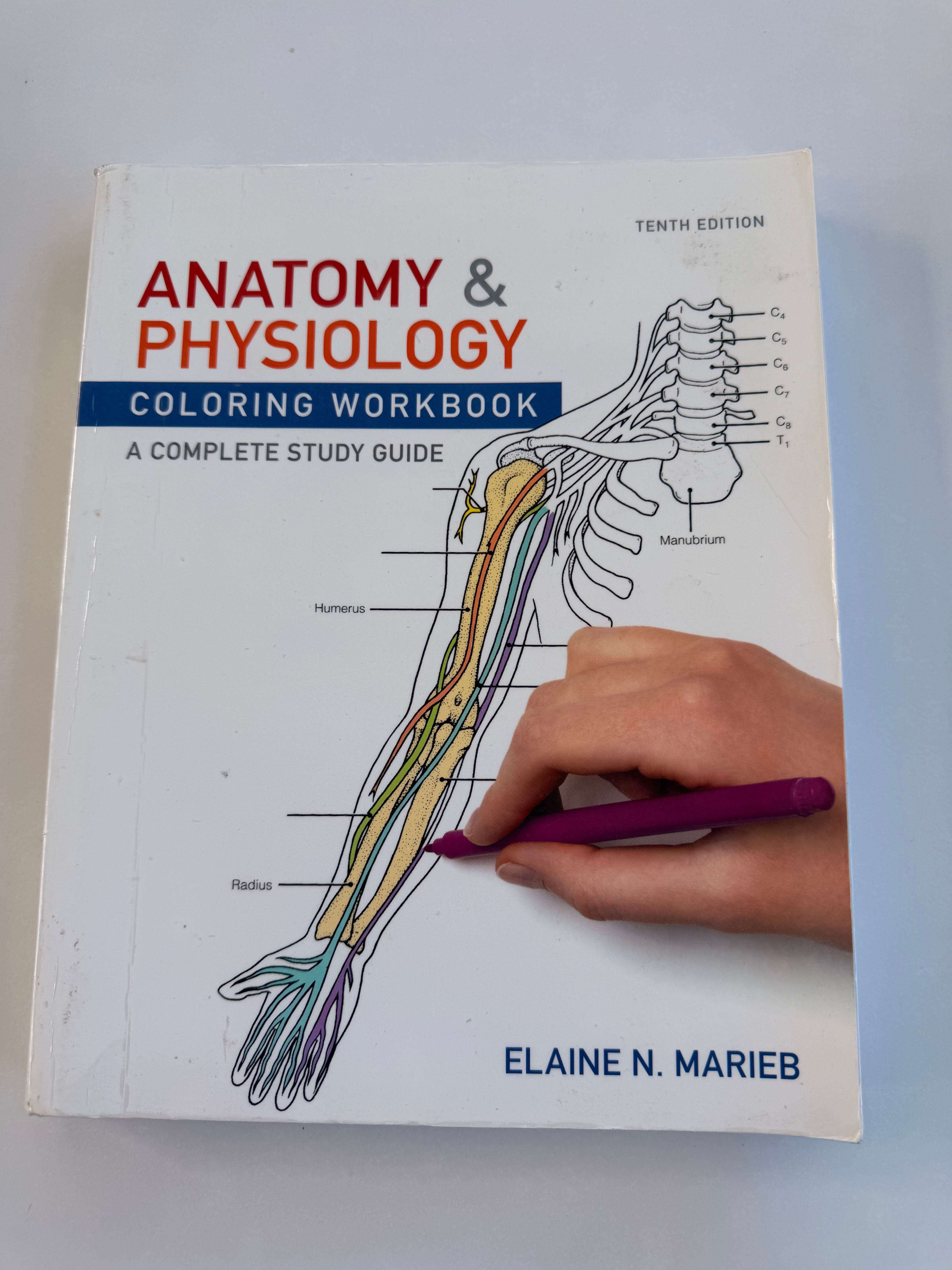 Anatomy and Physiology Coloring Workbook by Elaine N. Marieb
