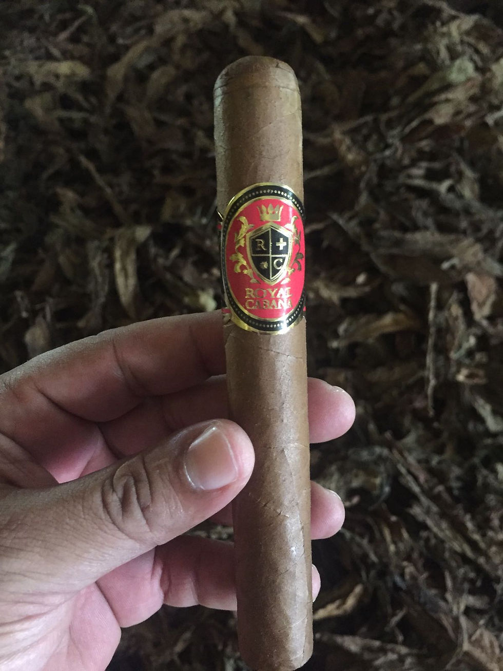 WhatsApp Image 2022-07-26 at 9.06.57 PM