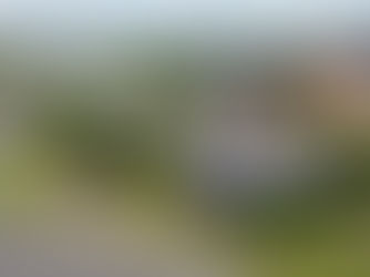 Ariel view of Mannings Heath Industrial Estate