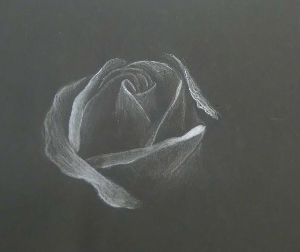 Rosa