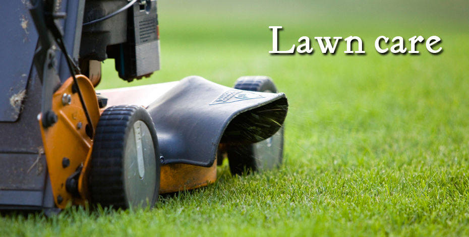 lawn care2.jpg