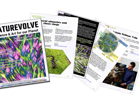 NatureVolve issue 11 release announced