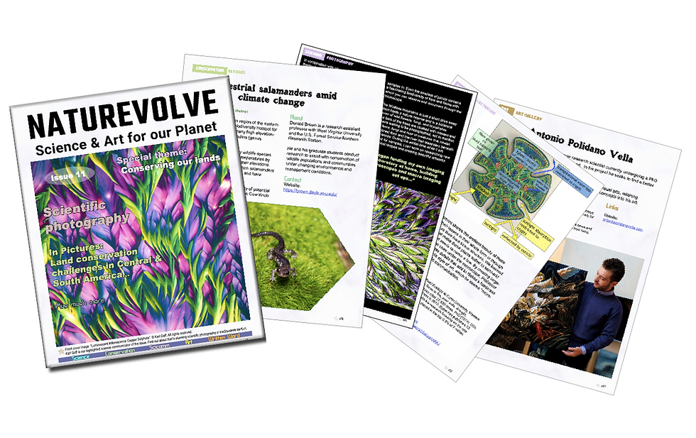 NatureVolve (NVolve Media): Science and sustainability communications digital magazine.