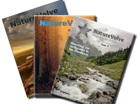Open call for NatureVolve issue #9 announced: seeking scientists and creatives!