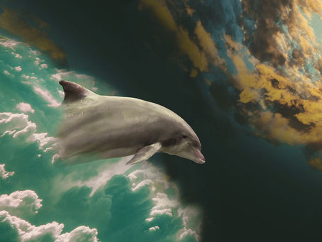 Now Is The Time To Rewild Earth & Rewild Humanity: To Repair Our Climate