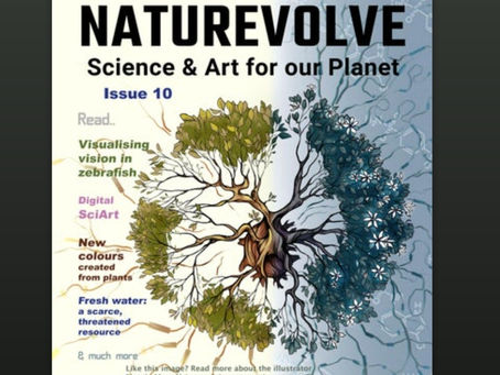 NatureVolve issue 10 released!