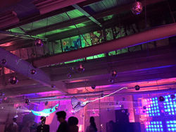 Stings Rays, Stella and Lucy