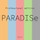 Thumbnail: PARADISe Professional Edition (Single user license renewed yearly)