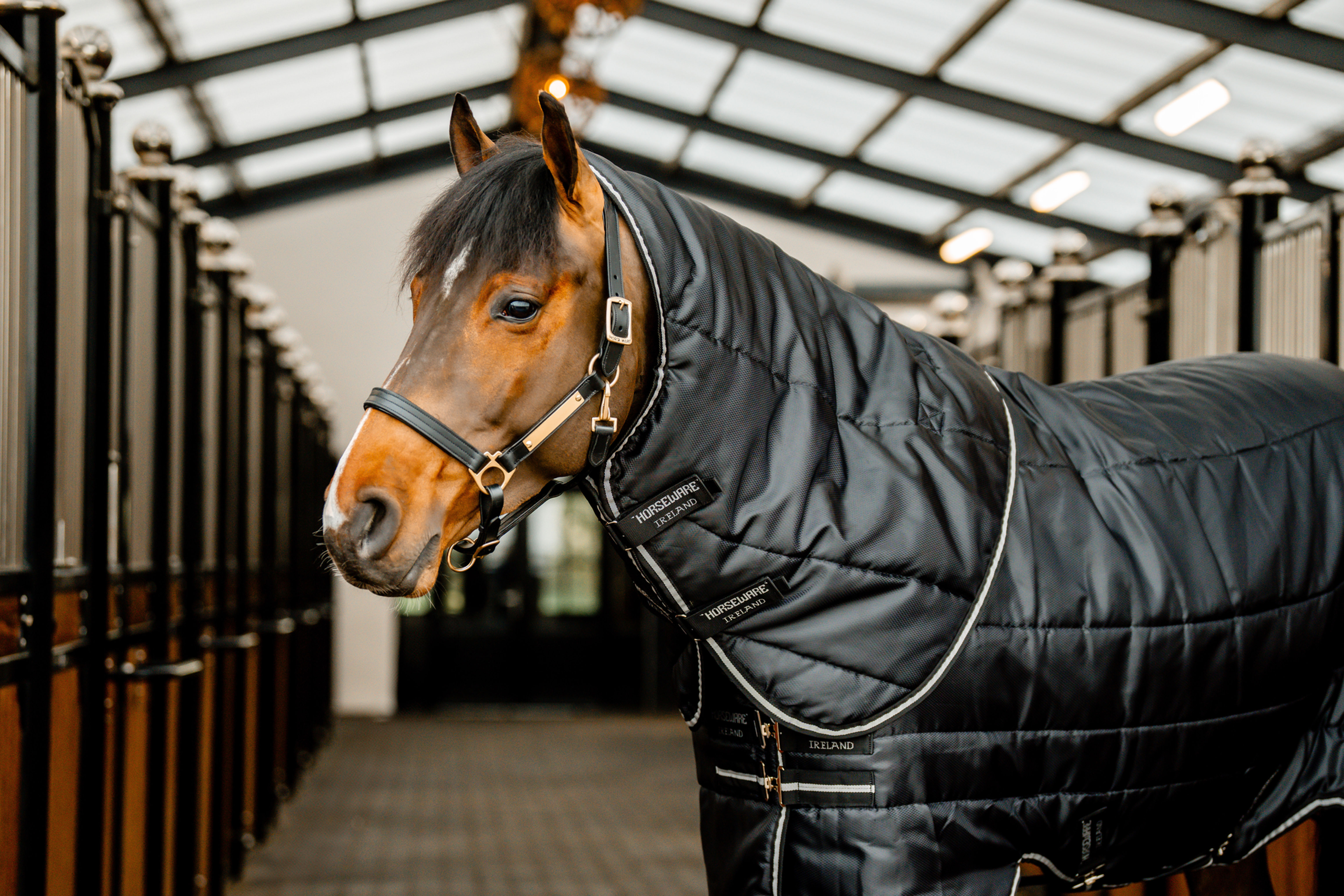 Horseware Easy-Layer stable hood 100g - Black/Black/Silver