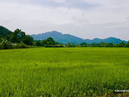 Penang countryside